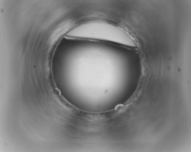 X0000088620245200706151859