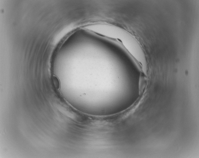 X0000088620246200706151859