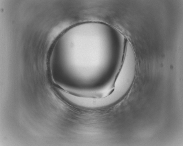 X0000088620248200706151859