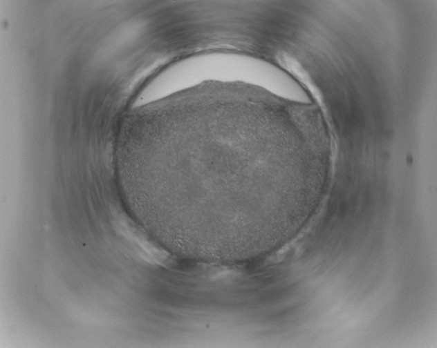 X0000088620249200706151859