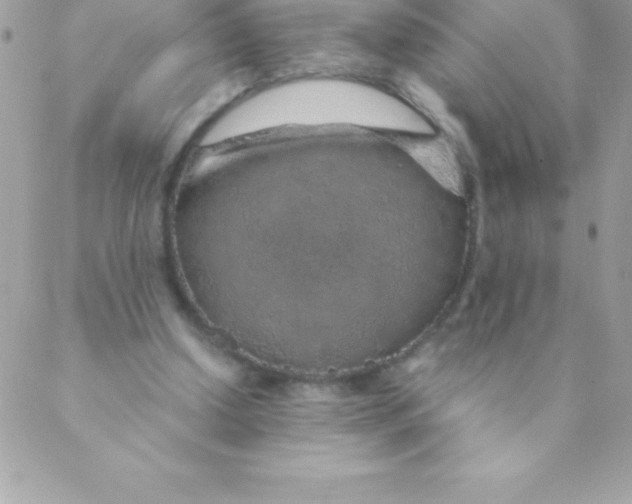 X0000088620250200706151859