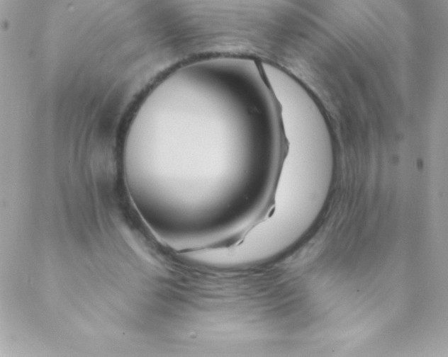 X0000088620252200706151859