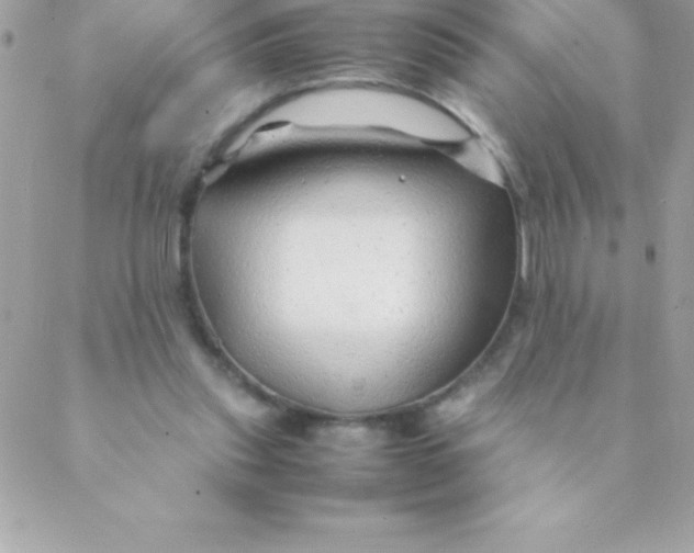 X0000088620253200706151859