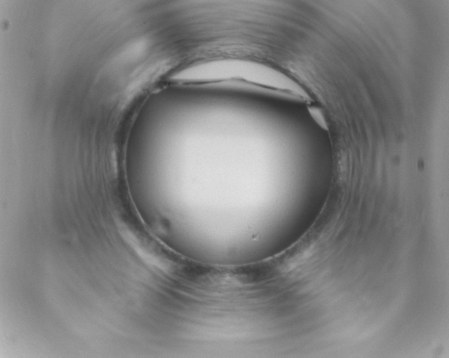 X0000088620254200706151859