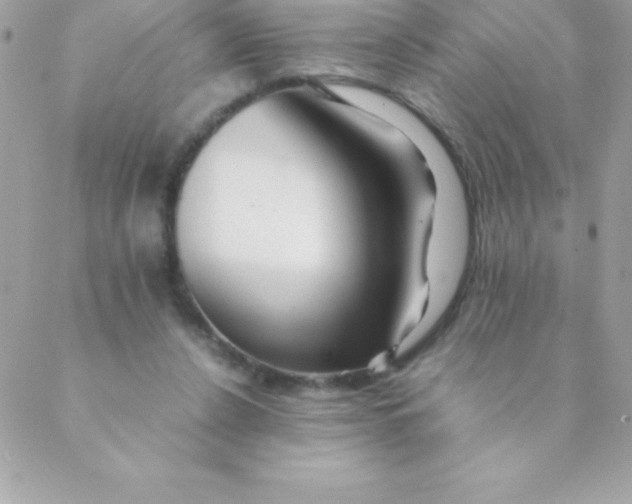 X0000088620256200706151859