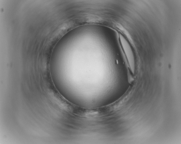 X0000088620257200706151859