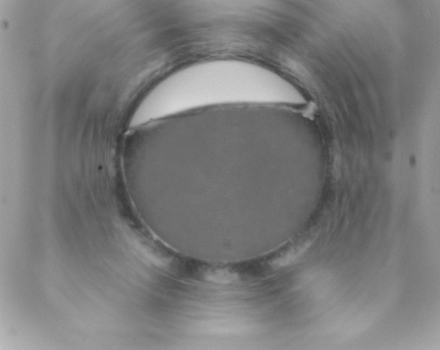 X0000088620258200706151859