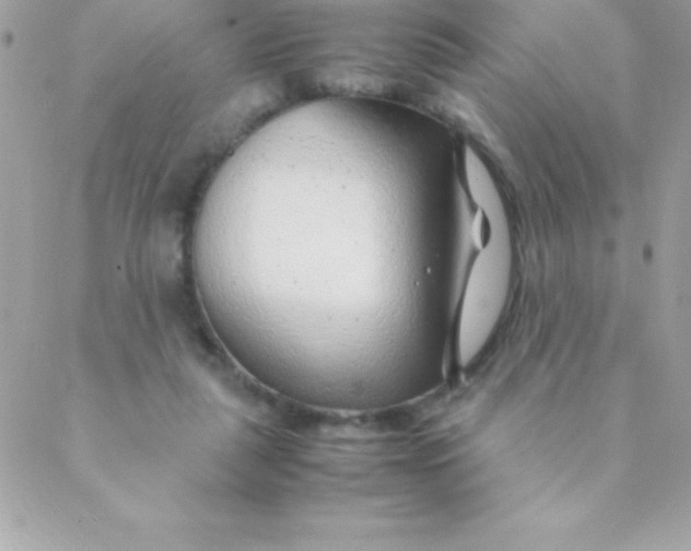 X0000088620259200706151859