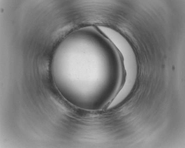 X0000088620260200706151859