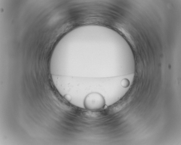 X0000088620261200706151859