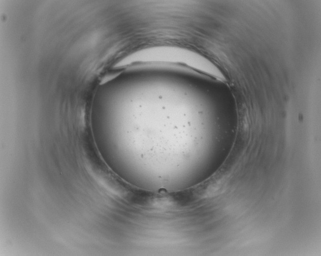 X0000088620262200706151859