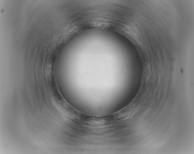 X0000088620263200706151859