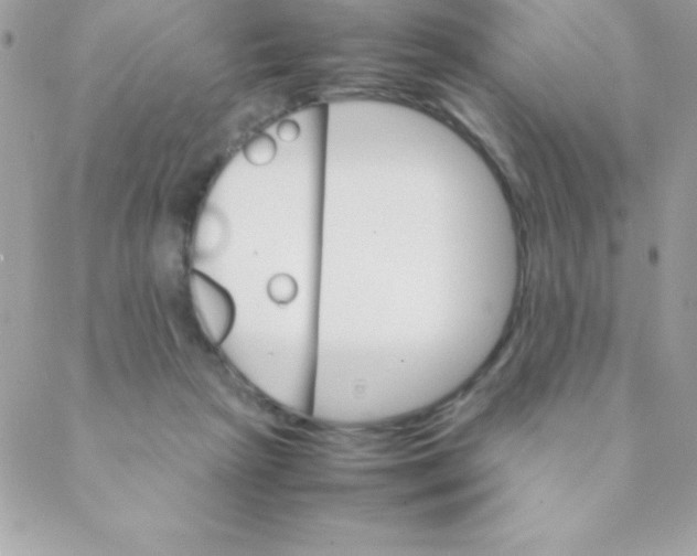 X0000088620265200706151859