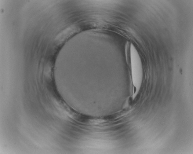 X0000088620266200706151859