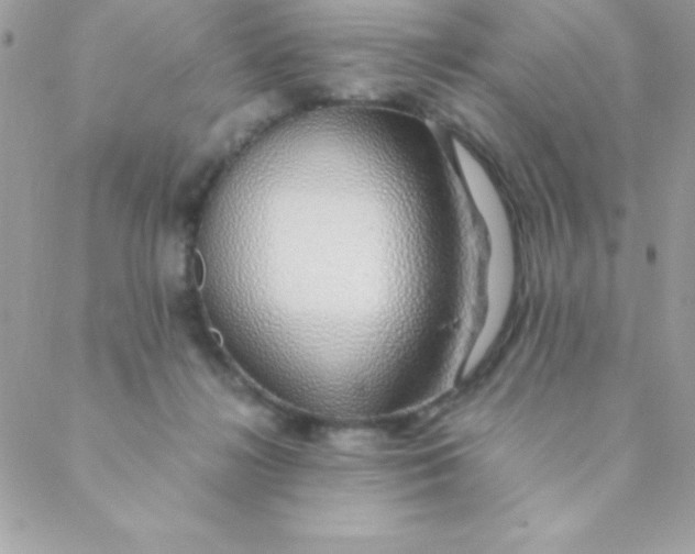 X0000088620268200706151859