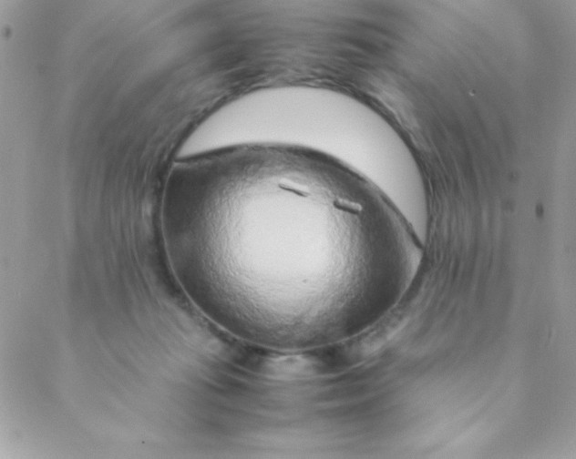 X0000088620269200706151859