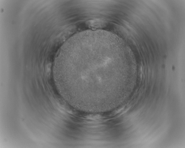 X0000088620271200706151859