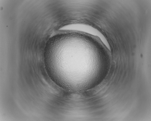 X0000088620272200706151900