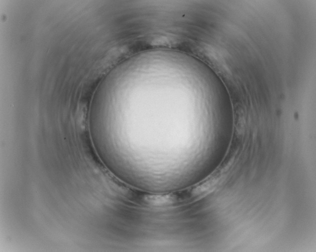 X0000088620273200706151900