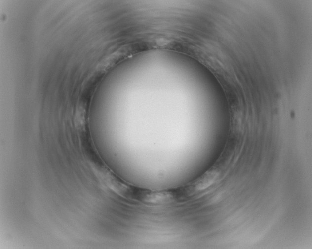 X0000088620274200706151900