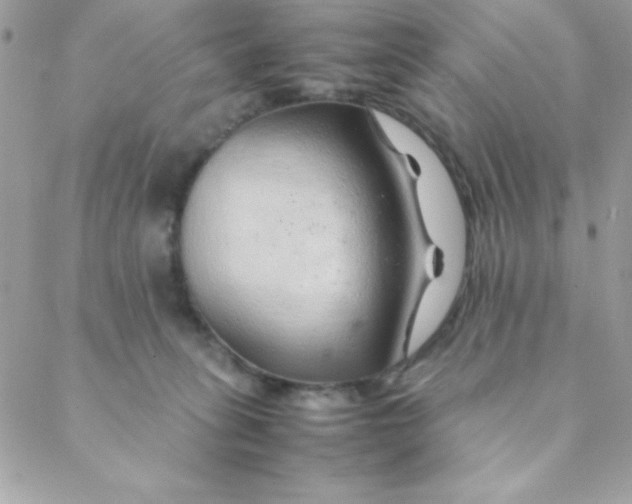 X0000088620275200706151900