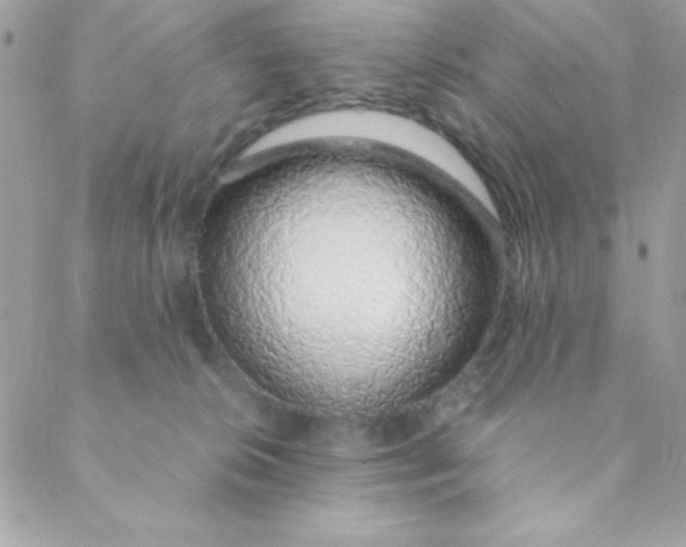 X0000088620276200706151900