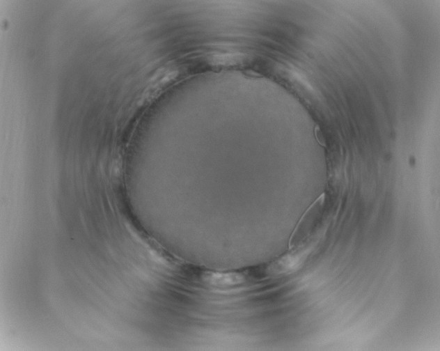 X0000088620277200706151900