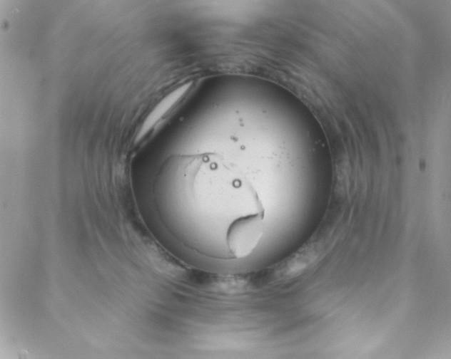 X0000088620278200706151900