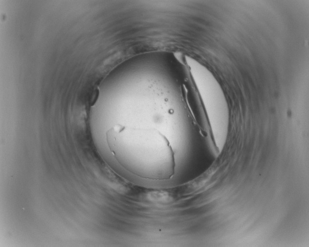 X0000088620279200706151900