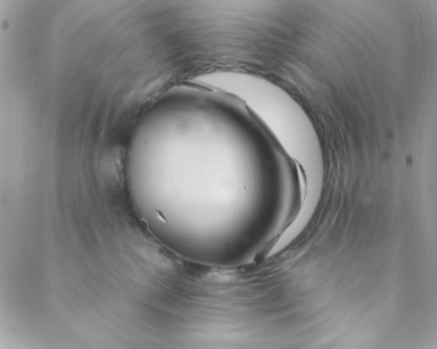 X0000088620280200706151900