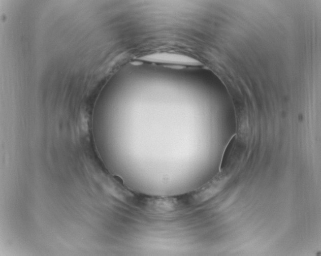 X0000088620282200706151900