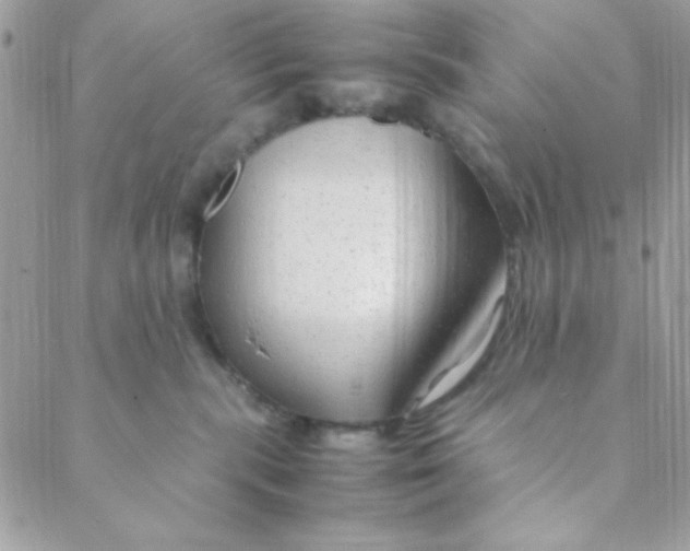 X0000088620283200706151900