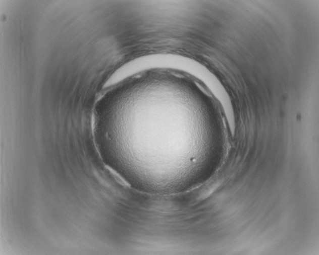 X0000088620284200706151900