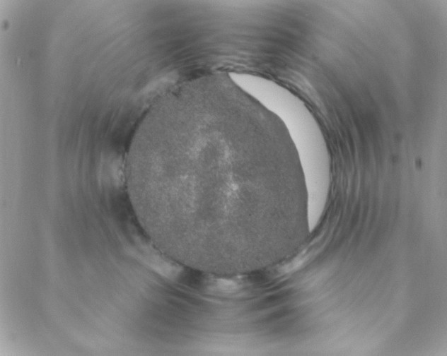 X0000088620285200706151900