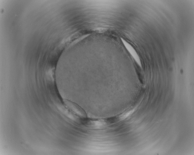 X0000088620286200706151900