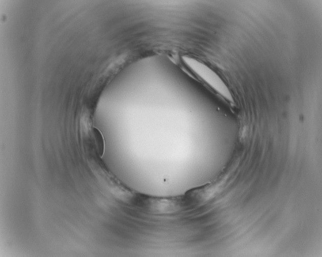 X0000088620287200706151900