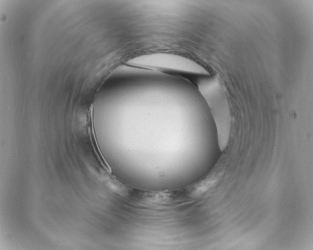 X0000088620288200706151900