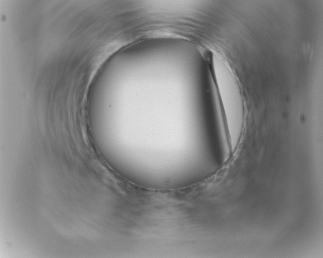 X0000088620289200706151859