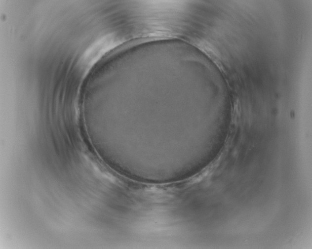 X0000088620290200706151859