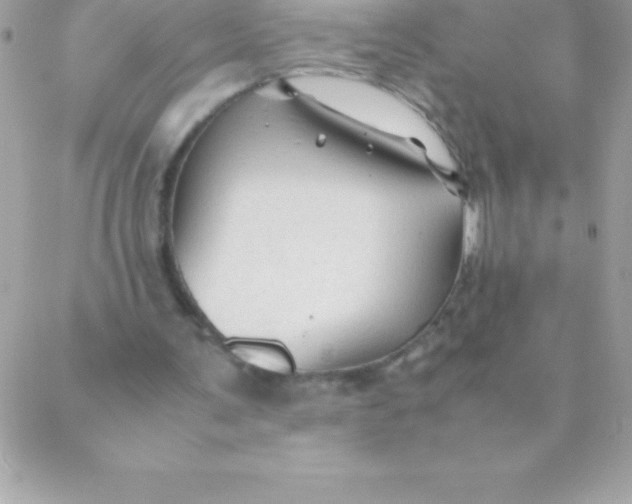 X0000088620291200706151859