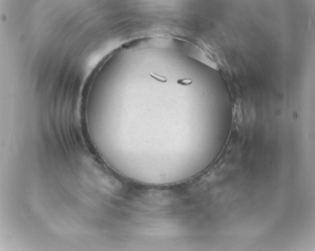 X0000088620292200706151859