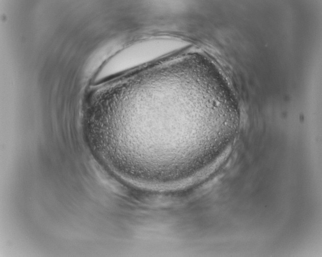 X0000088620293200706151859