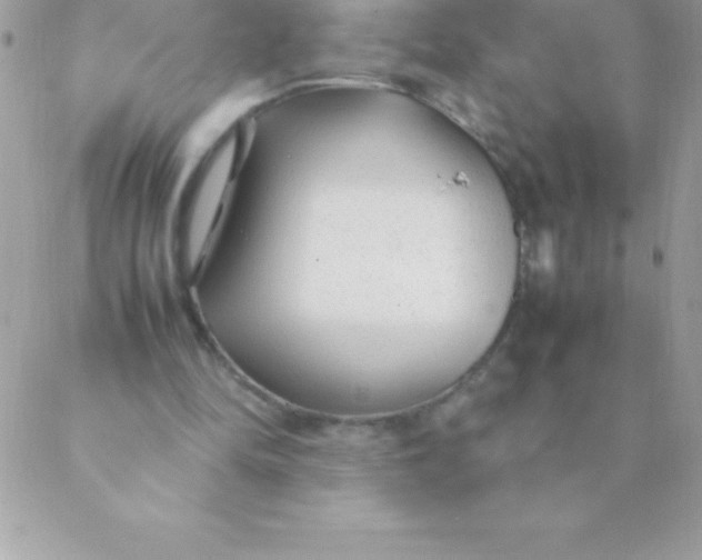 X0000088620294200706151859