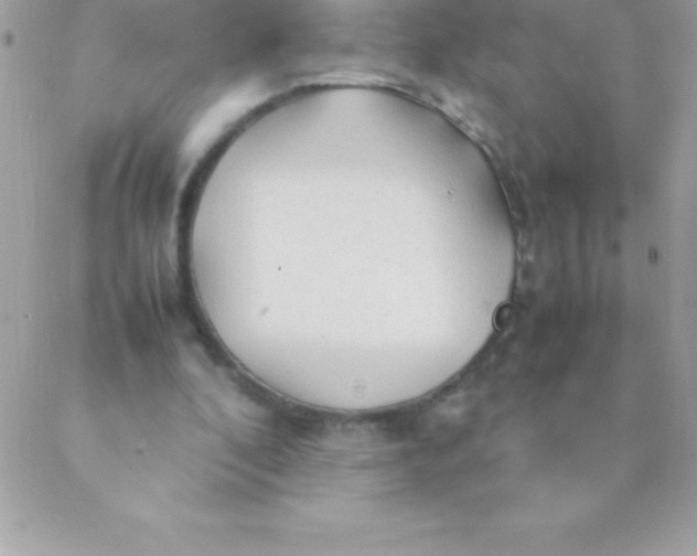 X0000088620296200706151859