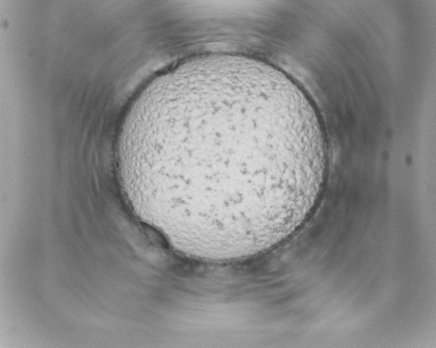 X0000088620297200706151859