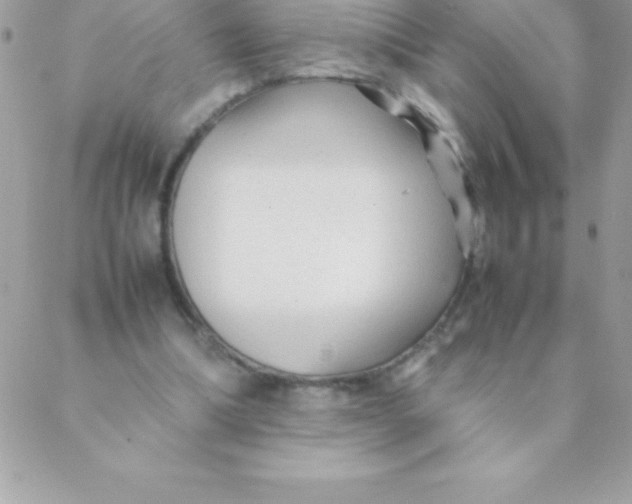 X0000088620298200706151859