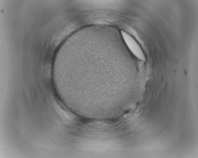 X0000088620299200706151859