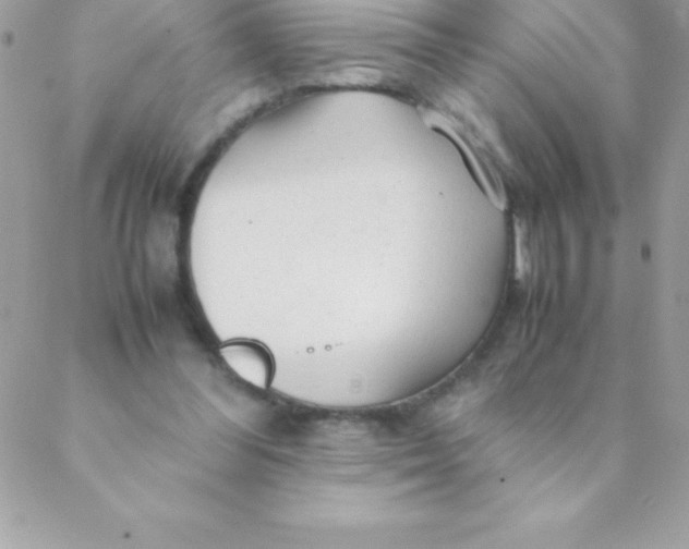 X0000088620300200706151859