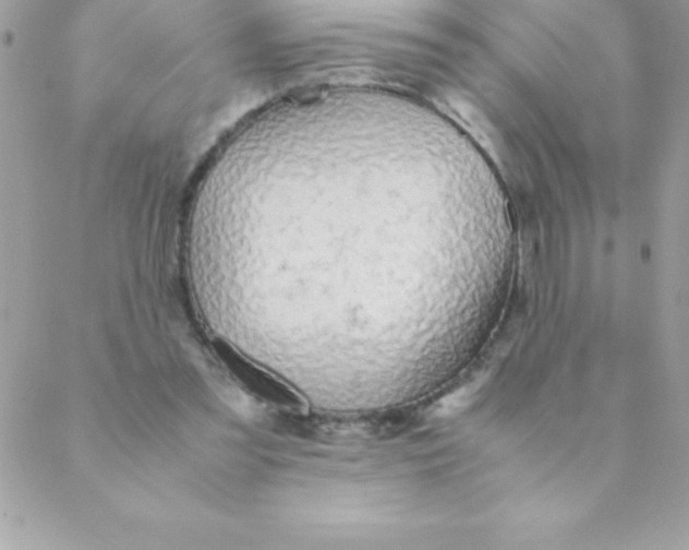 X0000088620301200706151859