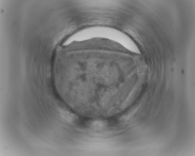 X0000088620303200706151859